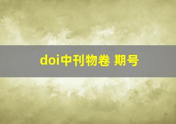 doi中刊物卷 期号